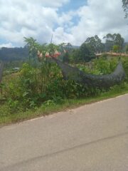 IMG-20260509-WA0020