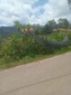 Land for Sale in Diyathalawa, Bandarawela