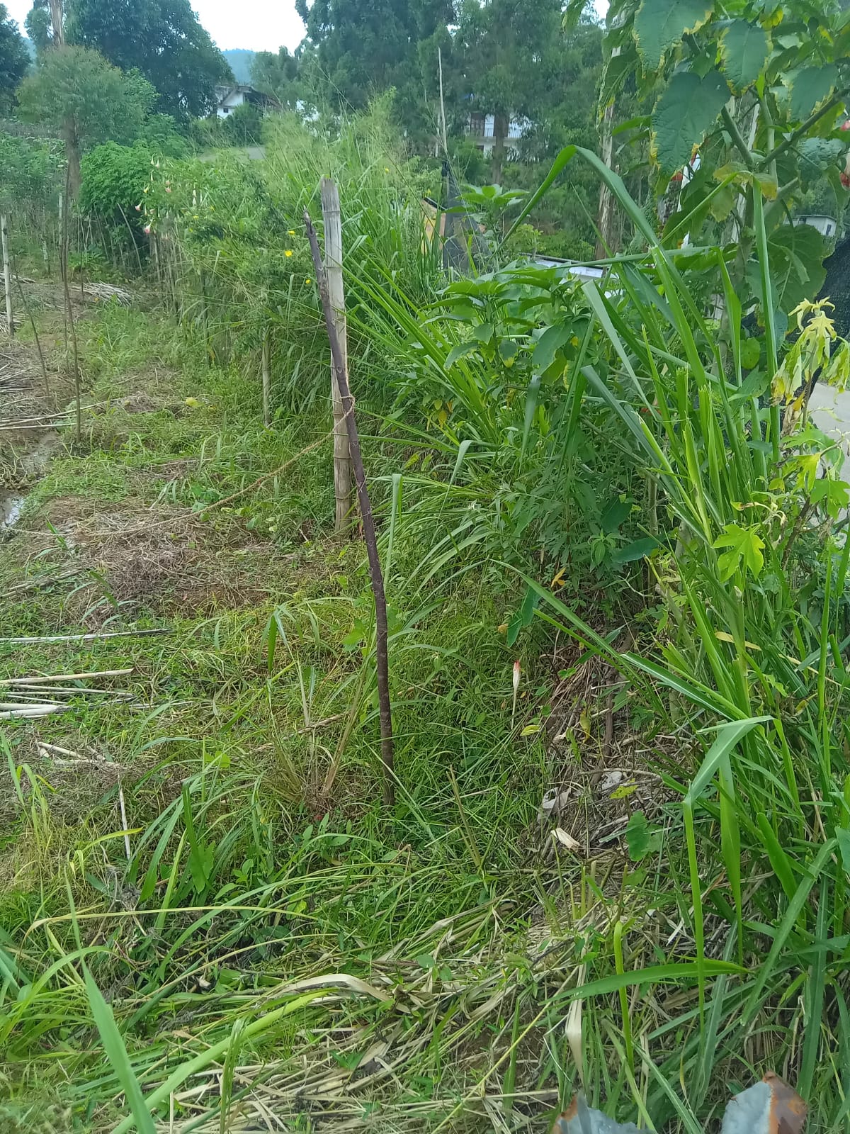 Land for Sale in Diyathalawa, Bandarawela
