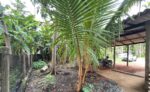 Prime property within Nikaweratiya Town limits