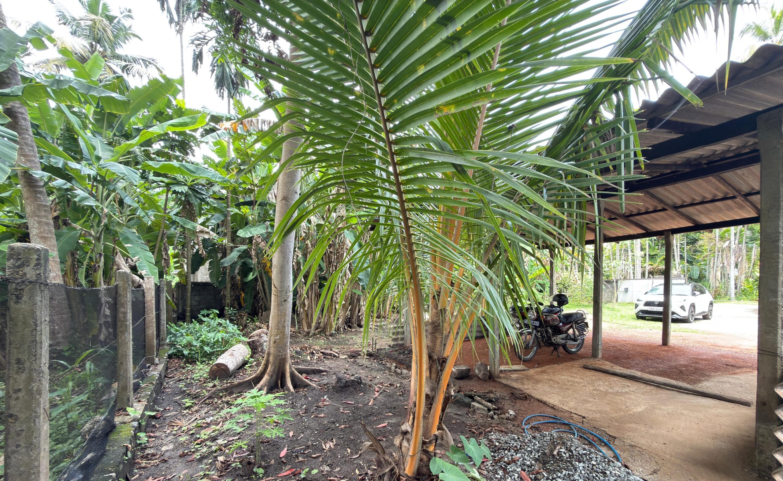 Prime property within Nikaweratiya Town limits