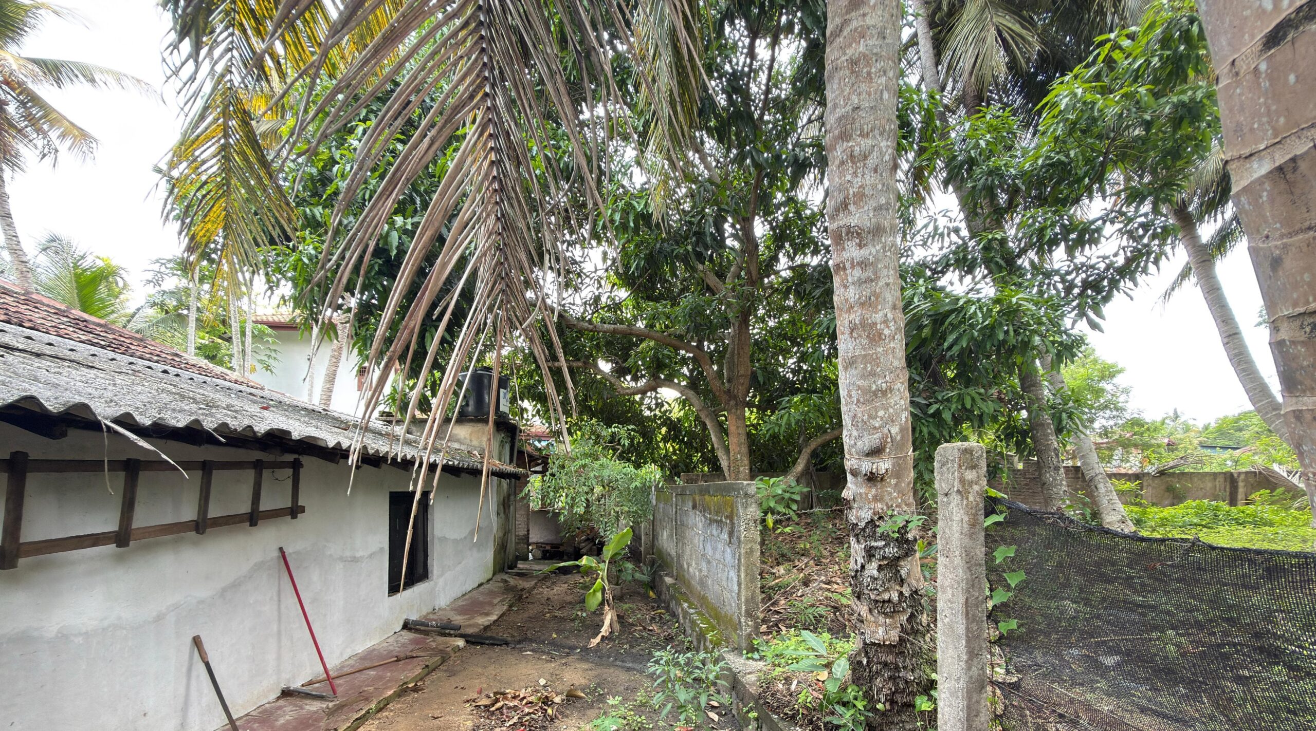 Prime property within Nikaweratiya Town limits