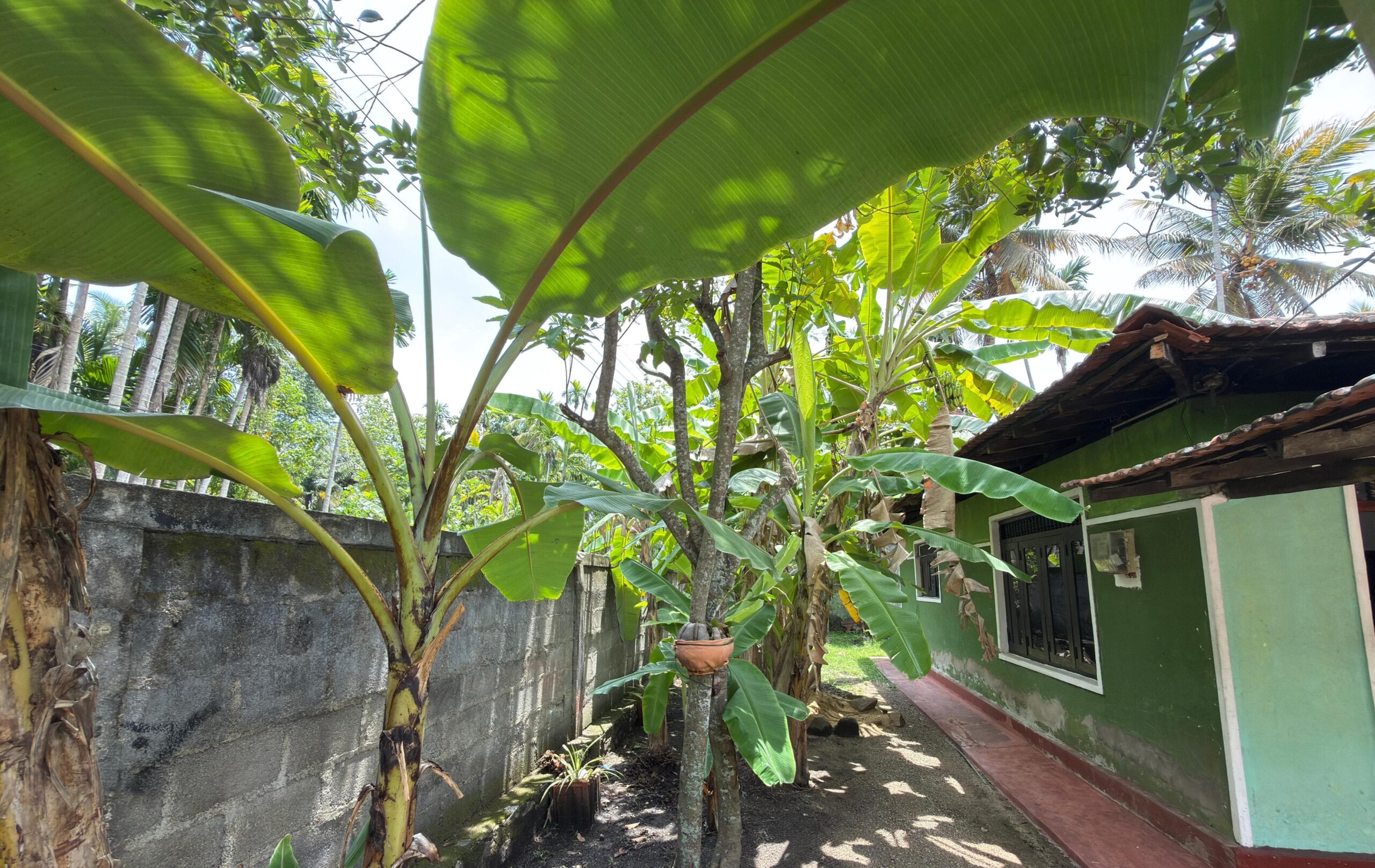 Prime property within Nikaweratiya Town limits
