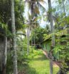 Prime property within Nikaweratiya Town limits