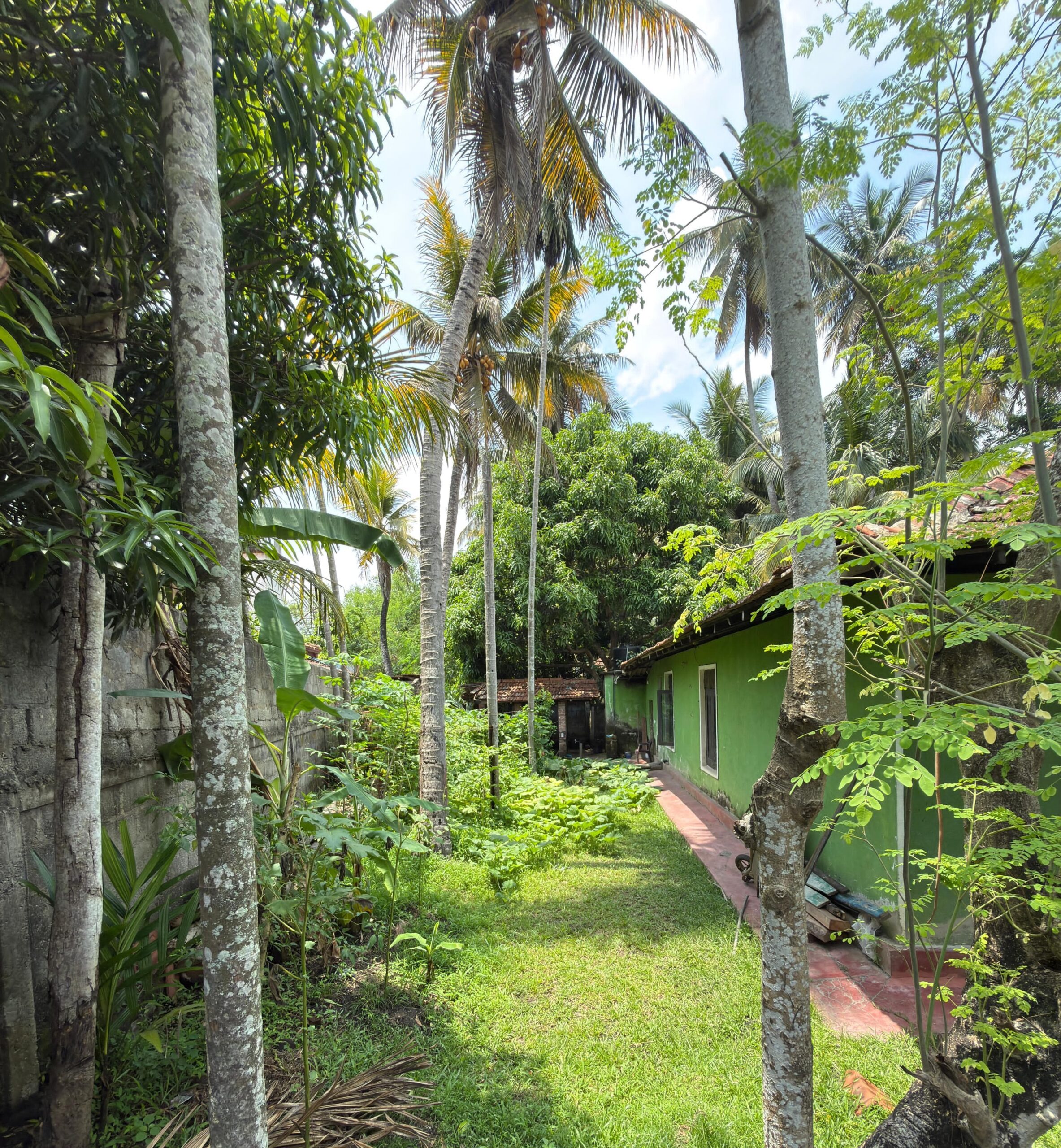Prime property within Nikaweratiya Town limits
