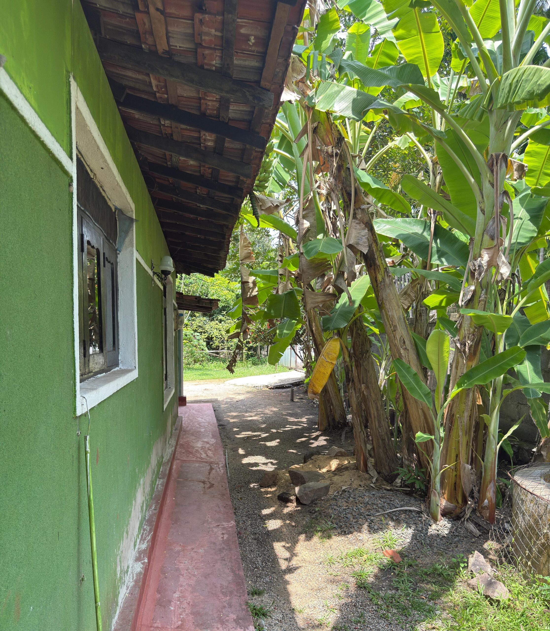 Prime property within Nikaweratiya Town limits