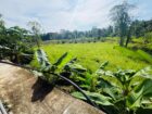 දෙමහල් නිවස සමග අක්කර දෙකක බිම් කොටස Monaragala