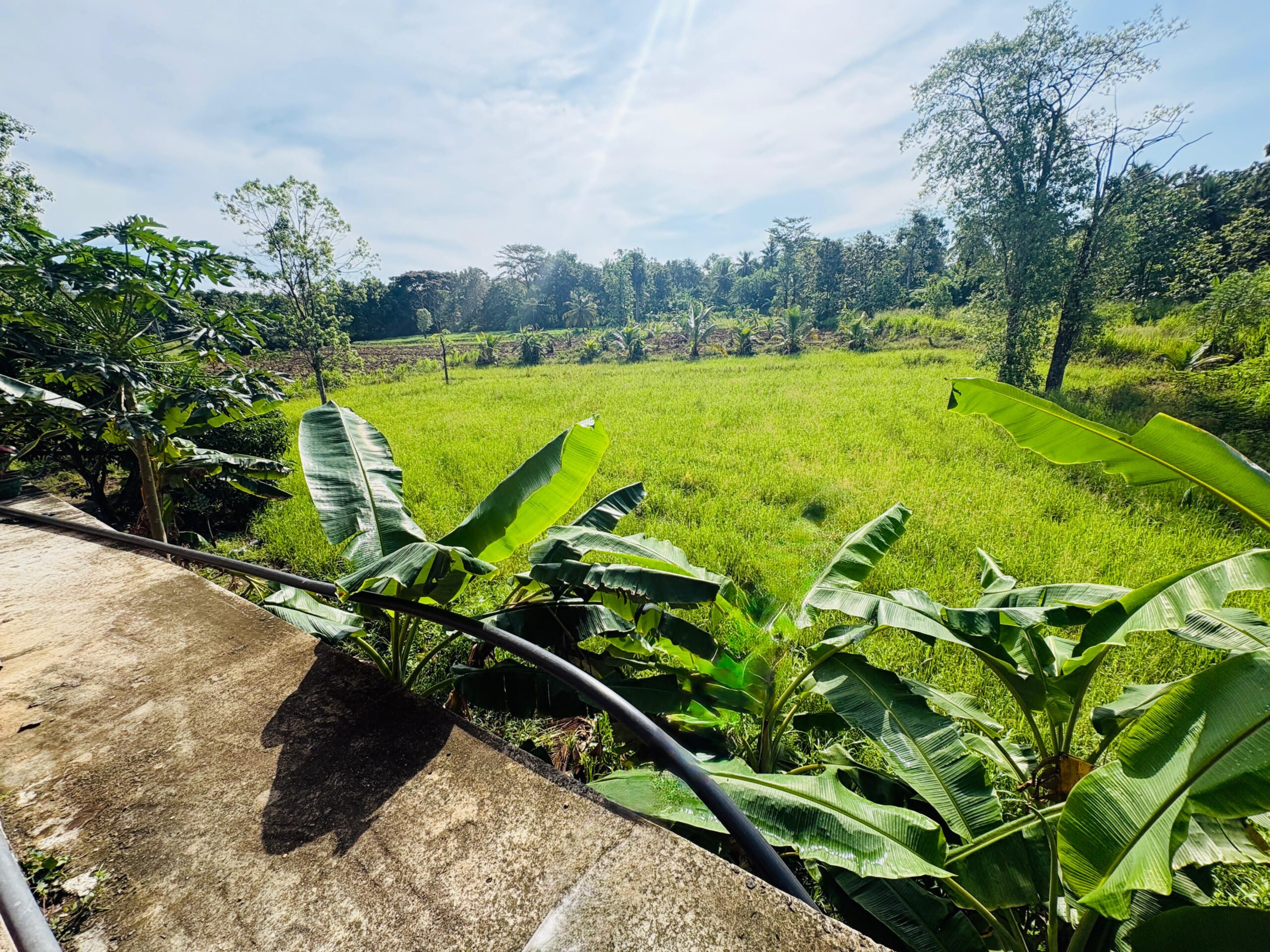 දෙමහල් නිවස සමග අක්කර දෙකක බිම් කොටස Monaragala