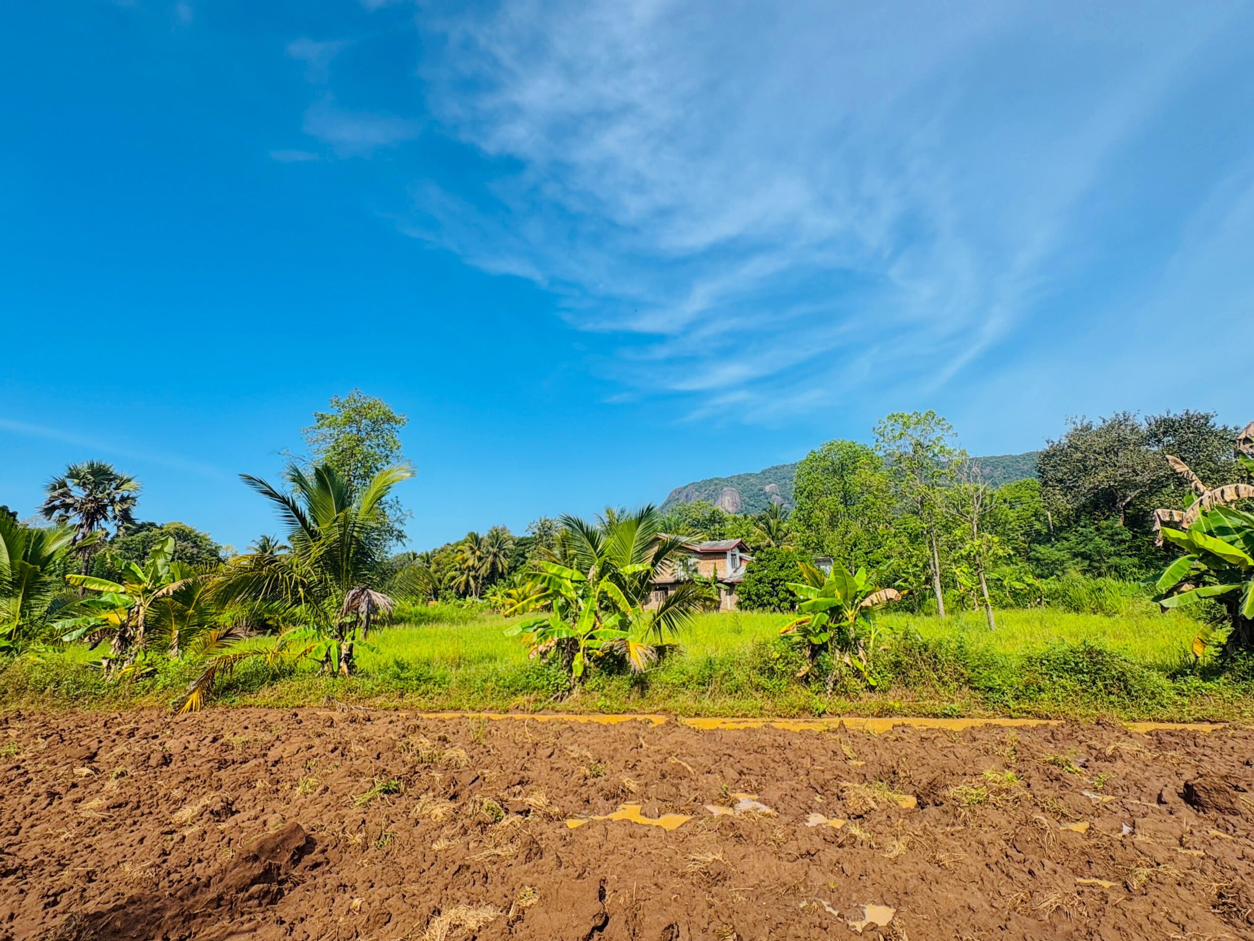දෙමහල් නිවස සමග අක්කර දෙකක බිම් කොටස Monaragala