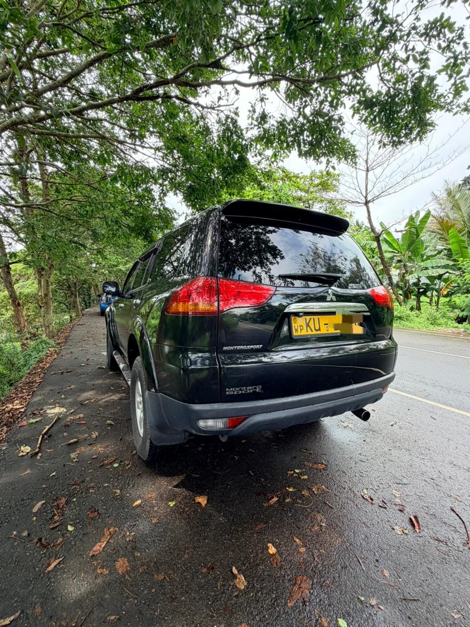 Mitsubishi Montero Sports 2012