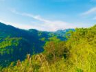 Land For Sale Kumbalwela