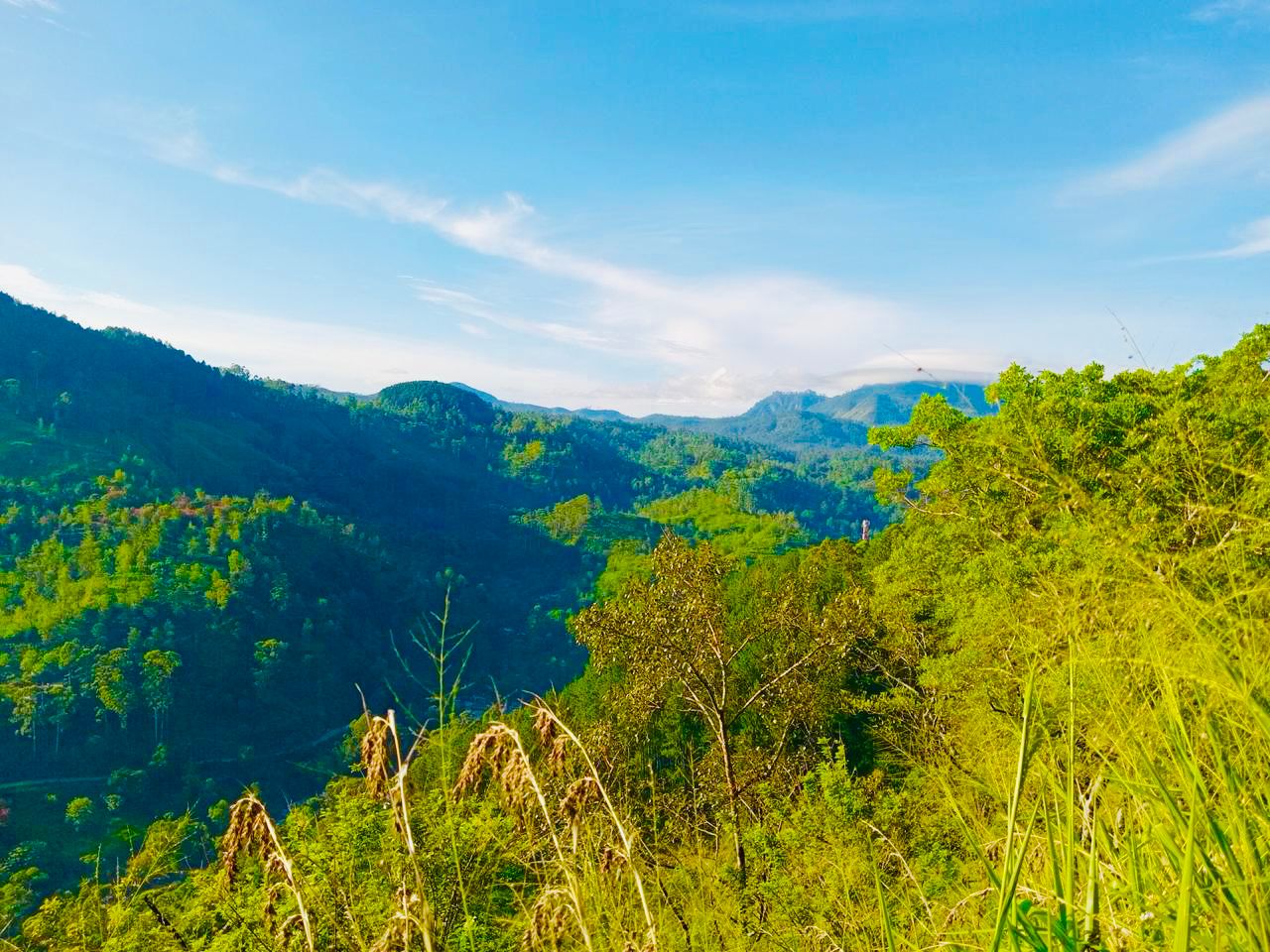 Land For Sale Kumbalwela