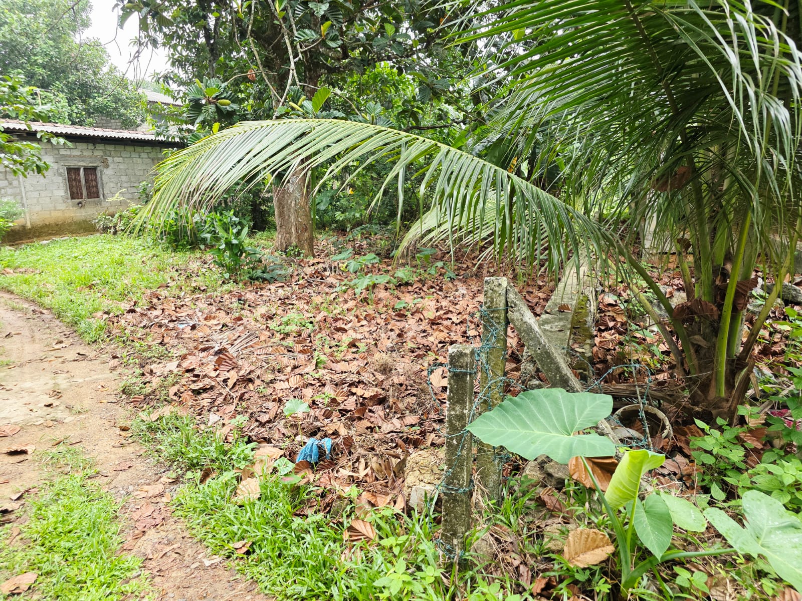 Land for Sale pahathgama, hanwella