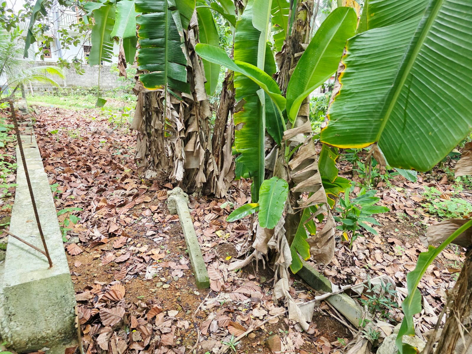 Land for Sale pahathgama, hanwella