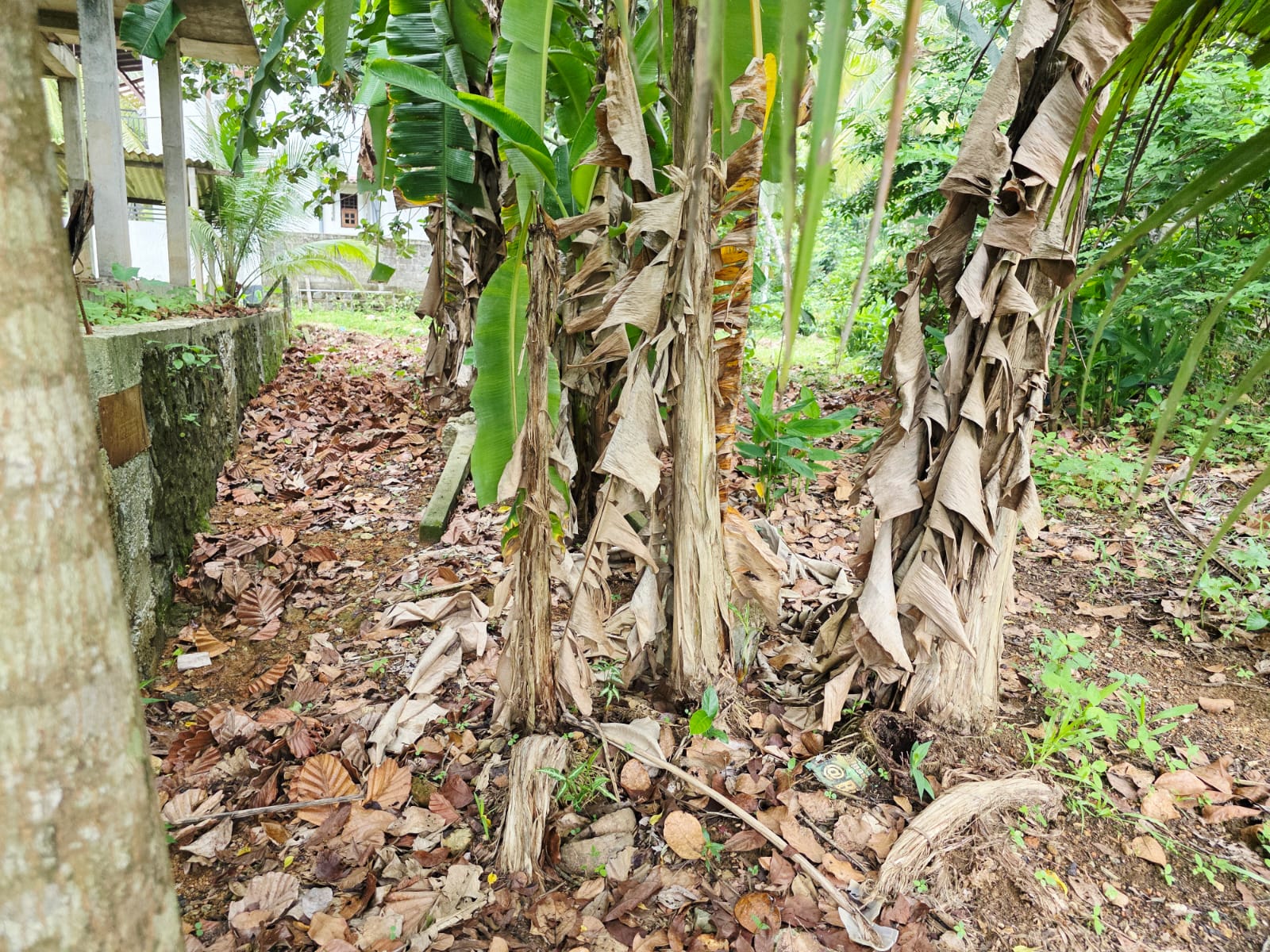 Land for Sale pahathgama, hanwella