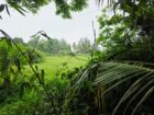 Land for Sale pahathgama, hanwella