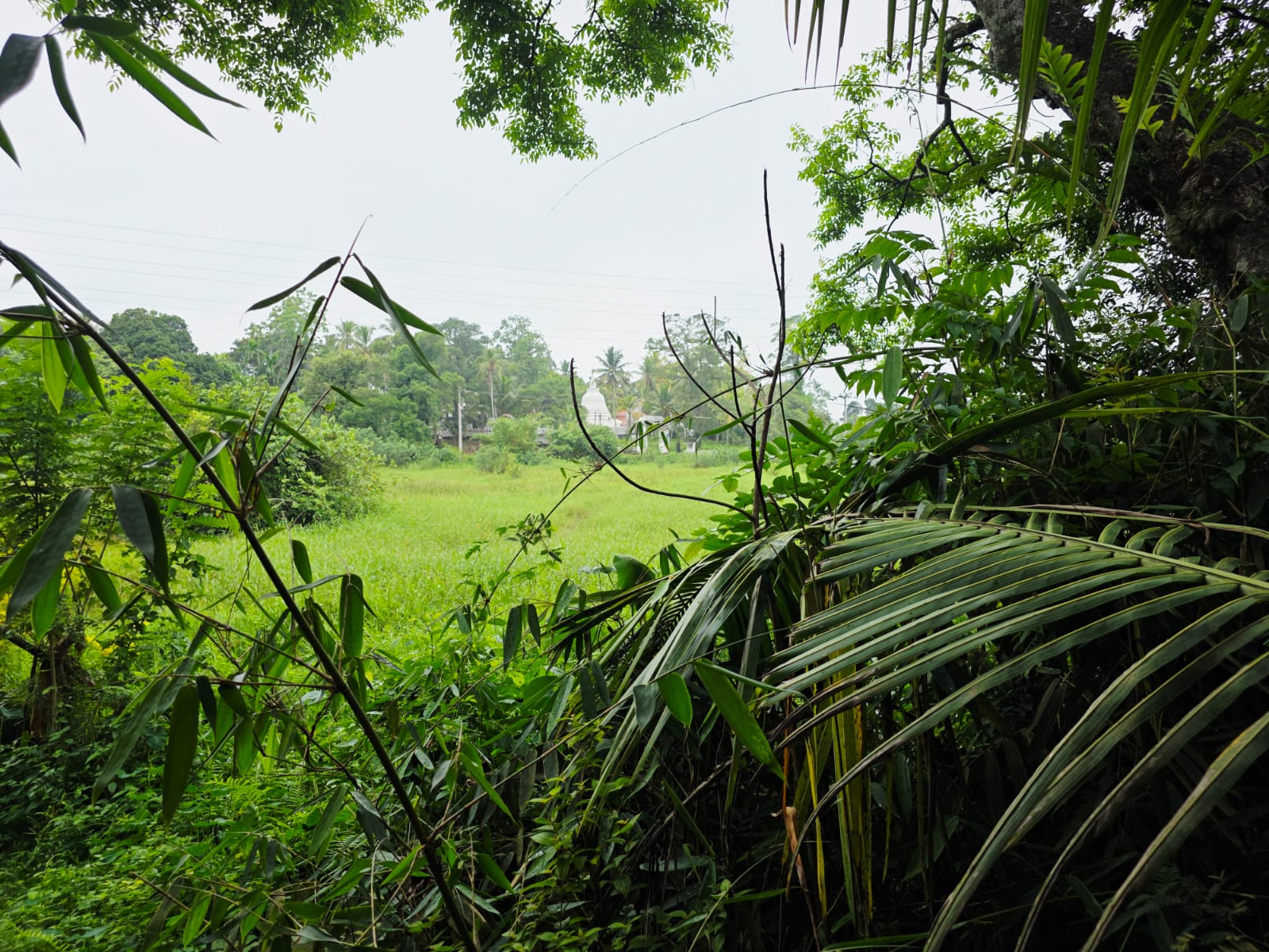 Land for Sale pahathgama, hanwella