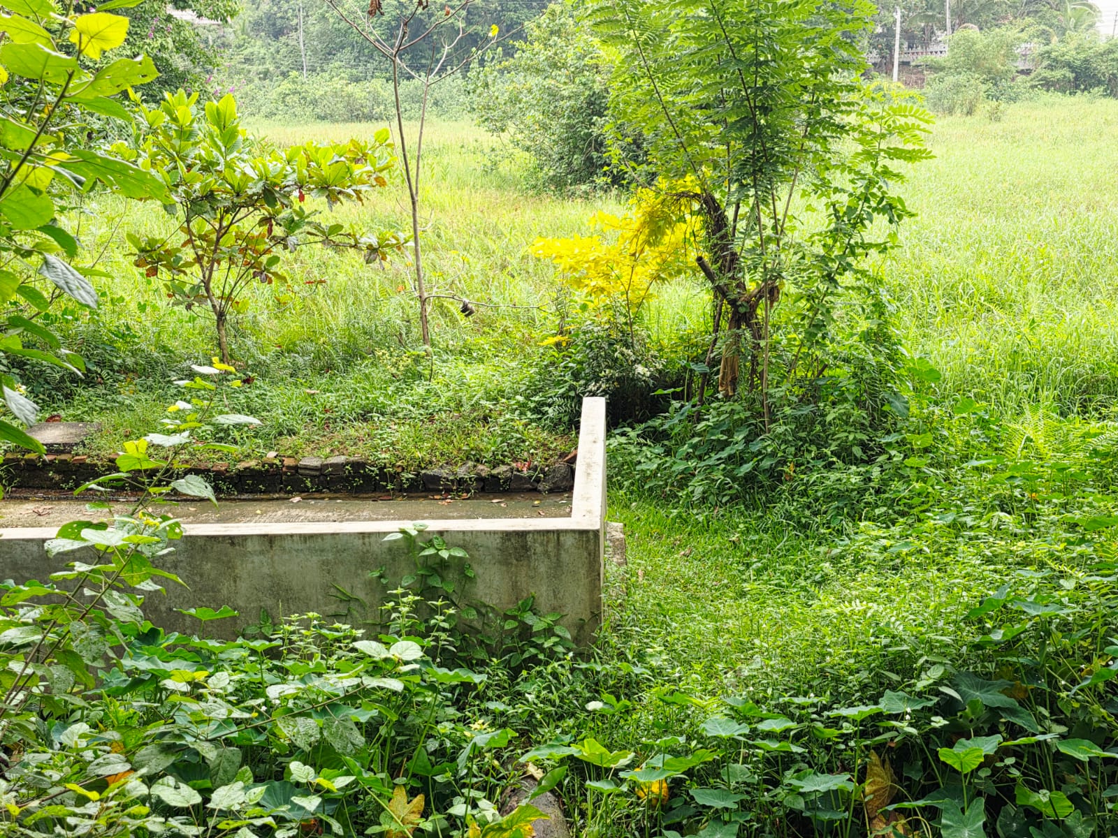 Land for Sale pahathgama, hanwella