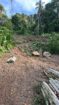 Prime Land for Sale in Godakanda, Karapitiya – Galle