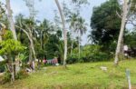 Land for Sale in Pinnaduwa, Godadeniya kanda