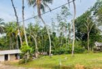 Land for Sale in Pinnaduwa, Godadeniya kanda