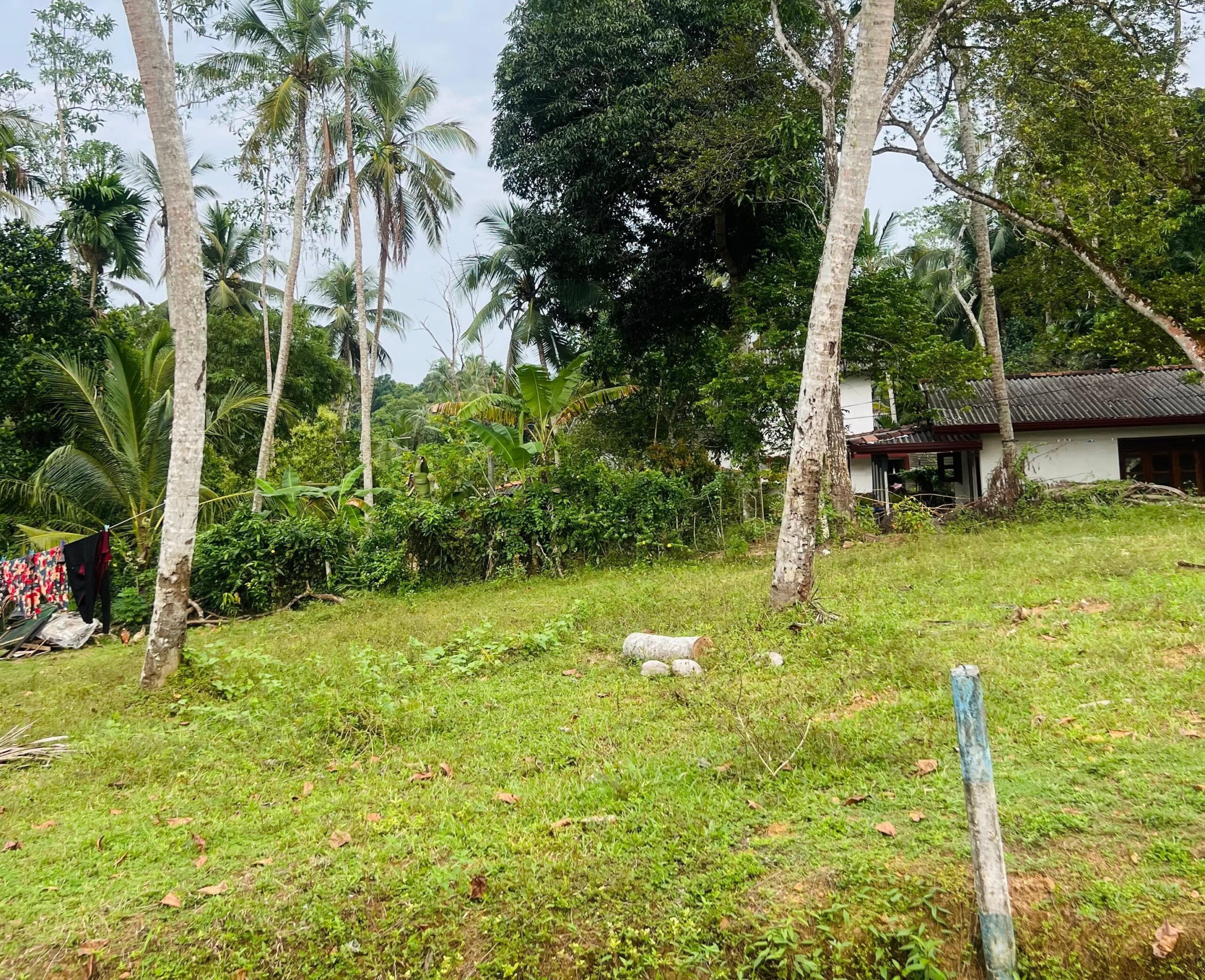 Land for Sale in Pinnaduwa, Godadeniya kanda