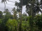 ඉඳුරුව, ගෝනගල පුර ඉතා වටිනා ඉඩමක් විකිණීමට