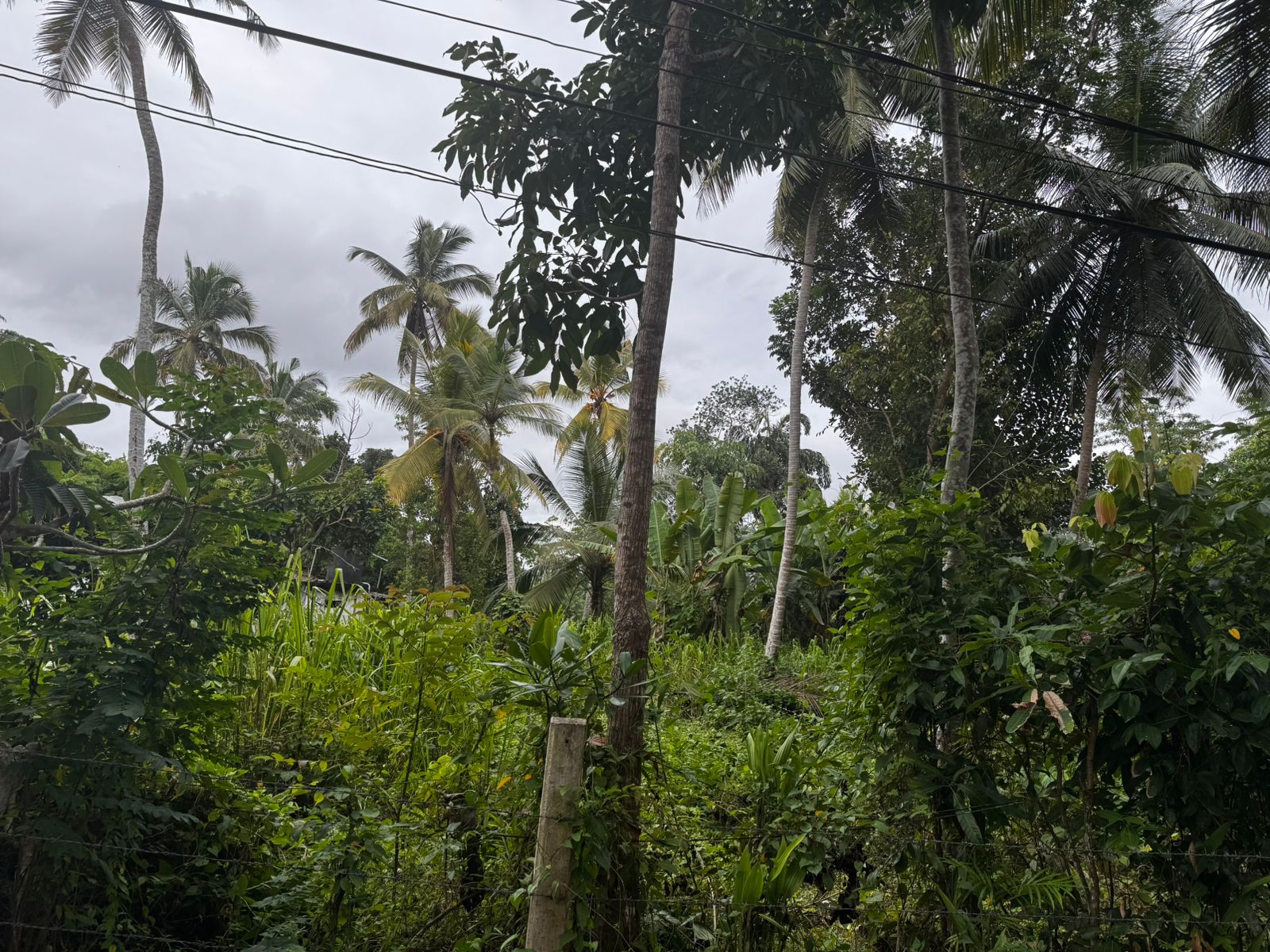 ඉඳුරුව, ගෝනගල පුර ඉතා වටිනා ඉඩමක් විකිණීමට