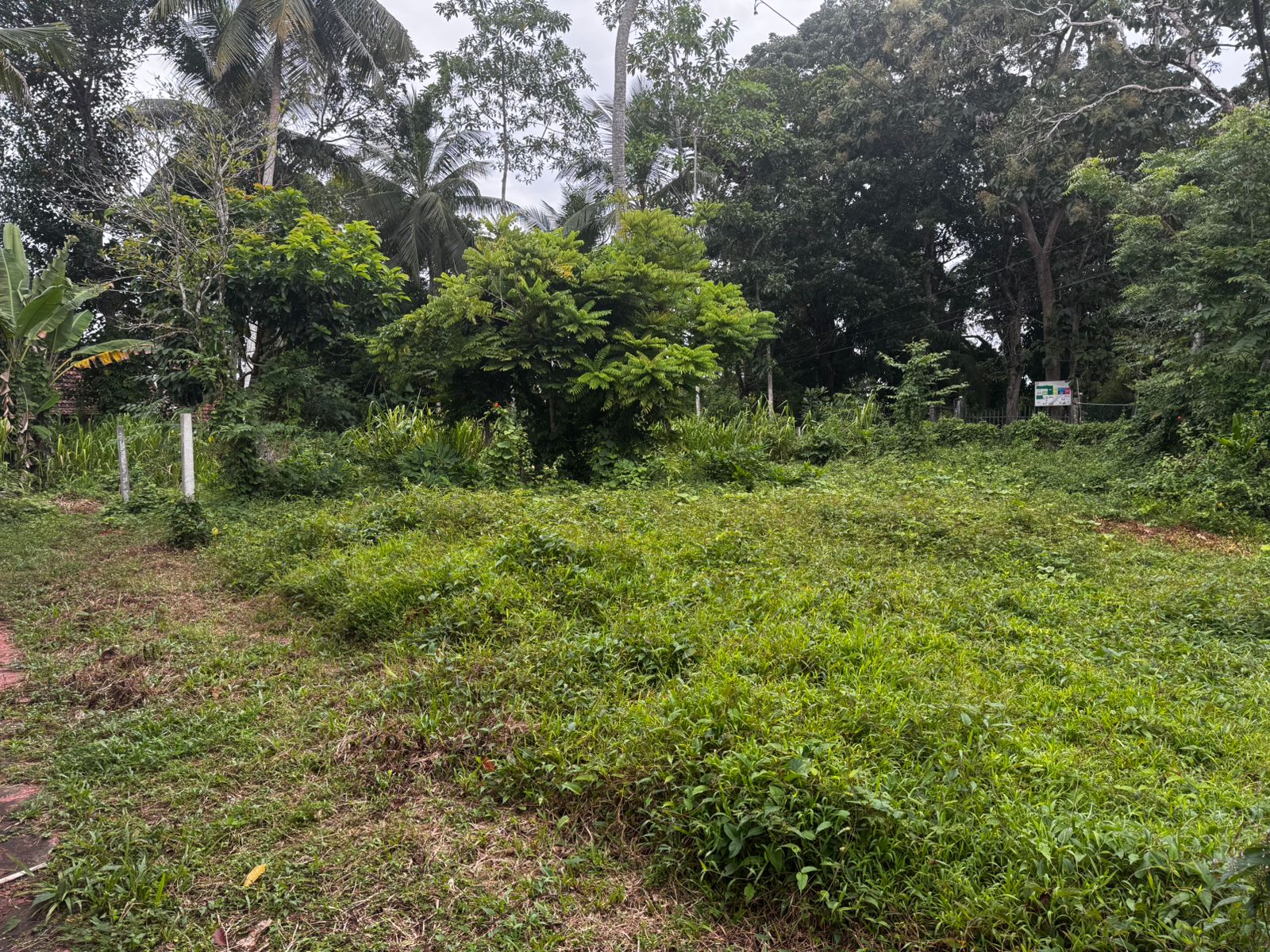 ඉඳුරුව, ගෝනගල පුර ඉතා වටිනා ඉඩමක් විකිණීමට