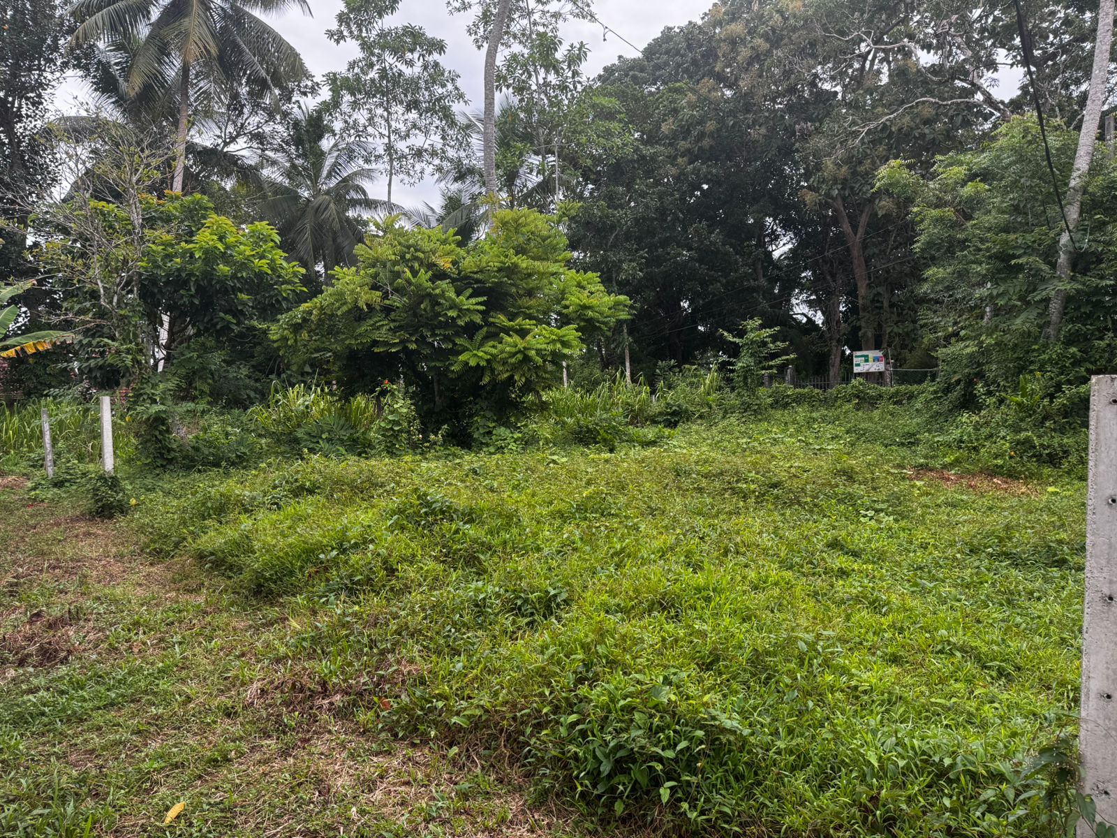 ඉඳුරුව, ගෝනගල පුර ඉතා වටිනා ඉඩමක් විකිණීමට
