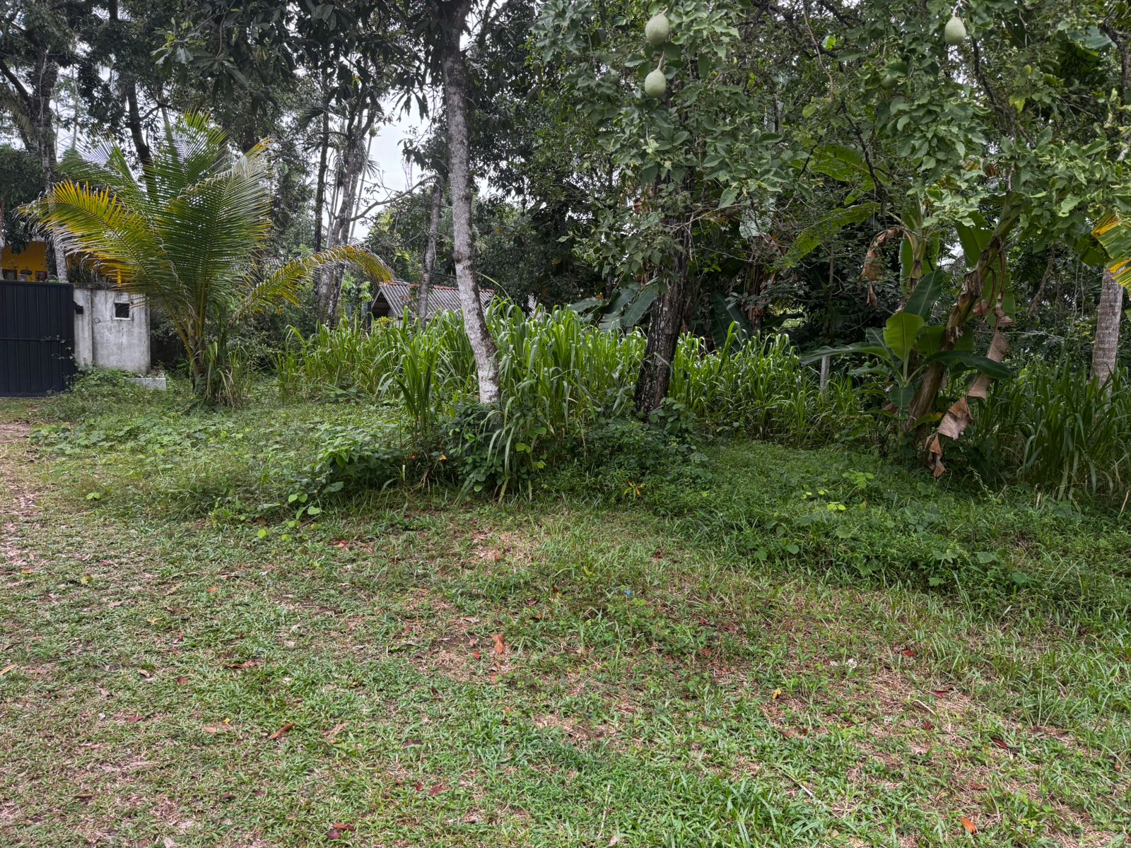 ඉඳුරුව, ගෝනගල පුර ඉතා වටිනා ඉඩමක් විකිණීමට