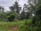 ඉඳුරුව, ගෝනගල පුර ඉතා වටිනා ඉඩමක් විකිණීමට