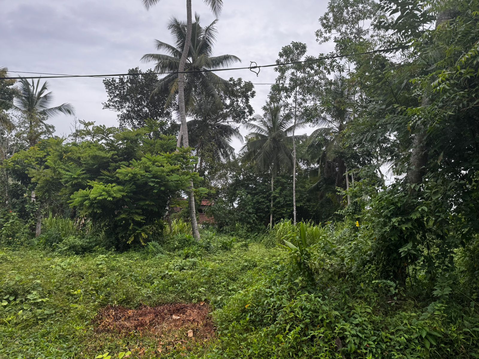 ඉඳුරුව, ගෝනගල පුර ඉතා වටිනා ඉඩමක් විකිණීමට