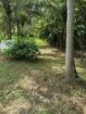 Land for sale Anuradhapura
