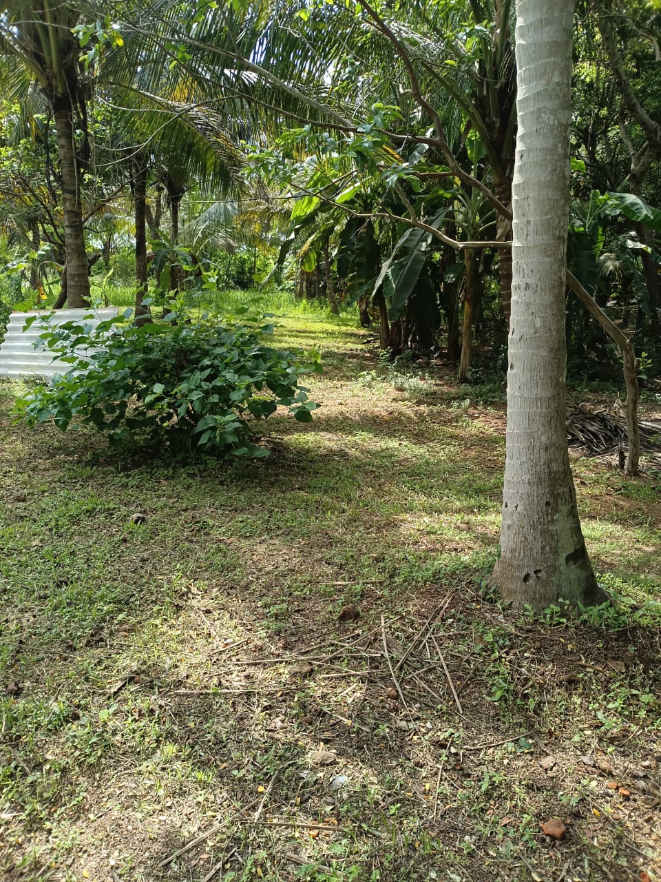 Land for sale Anuradhapura