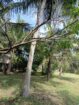 Land for sale Anuradhapura