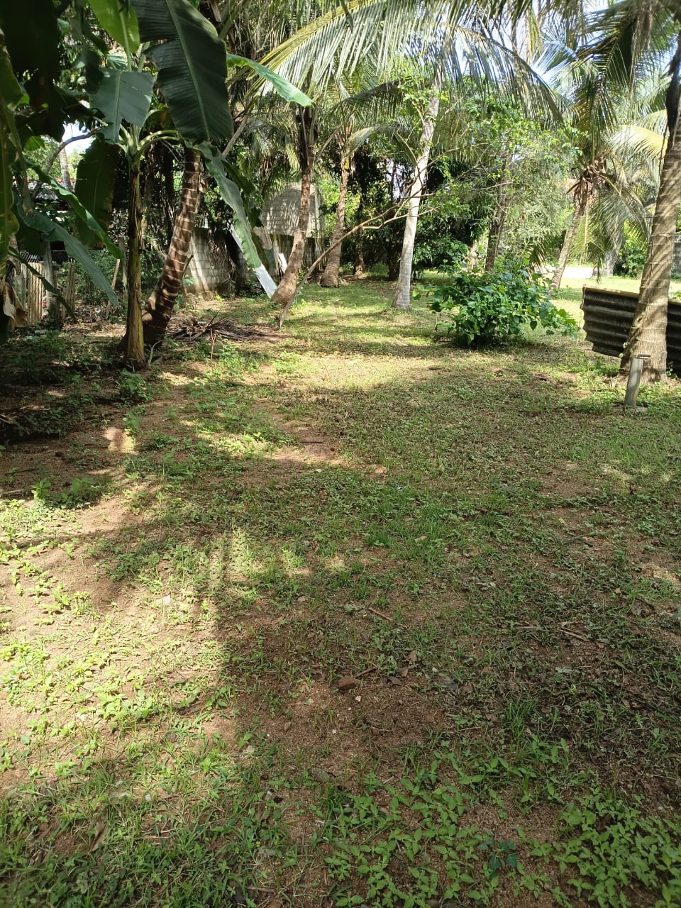 Land for sale Anuradhapura