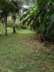 Land for sale Anuradhapura