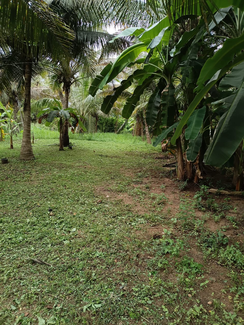 Land for sale Anuradhapura