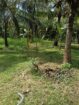 Land for sale Anuradhapura