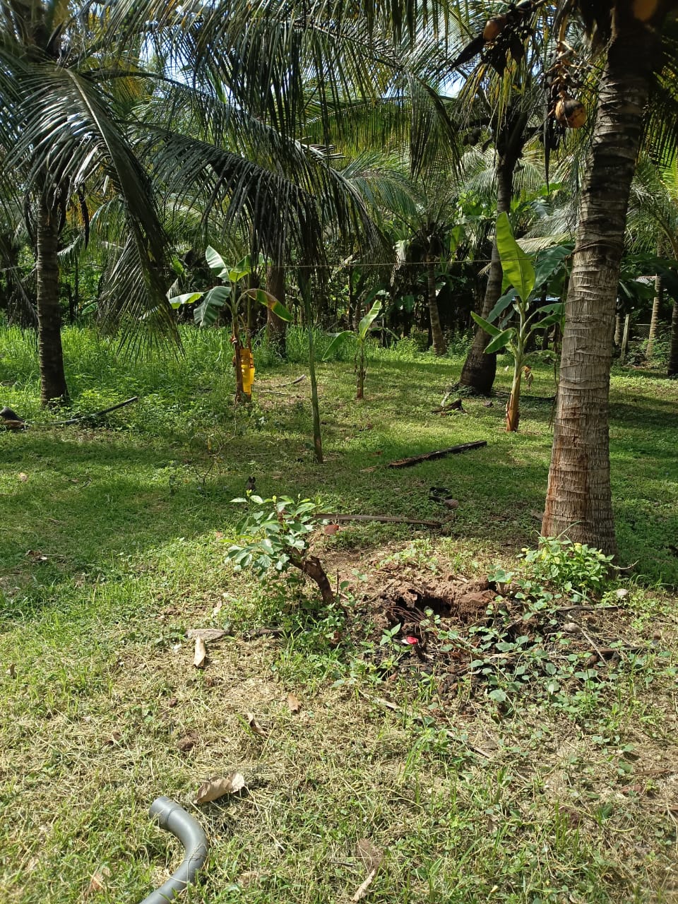 Land for sale Anuradhapura