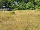 Land for Sale in Horana