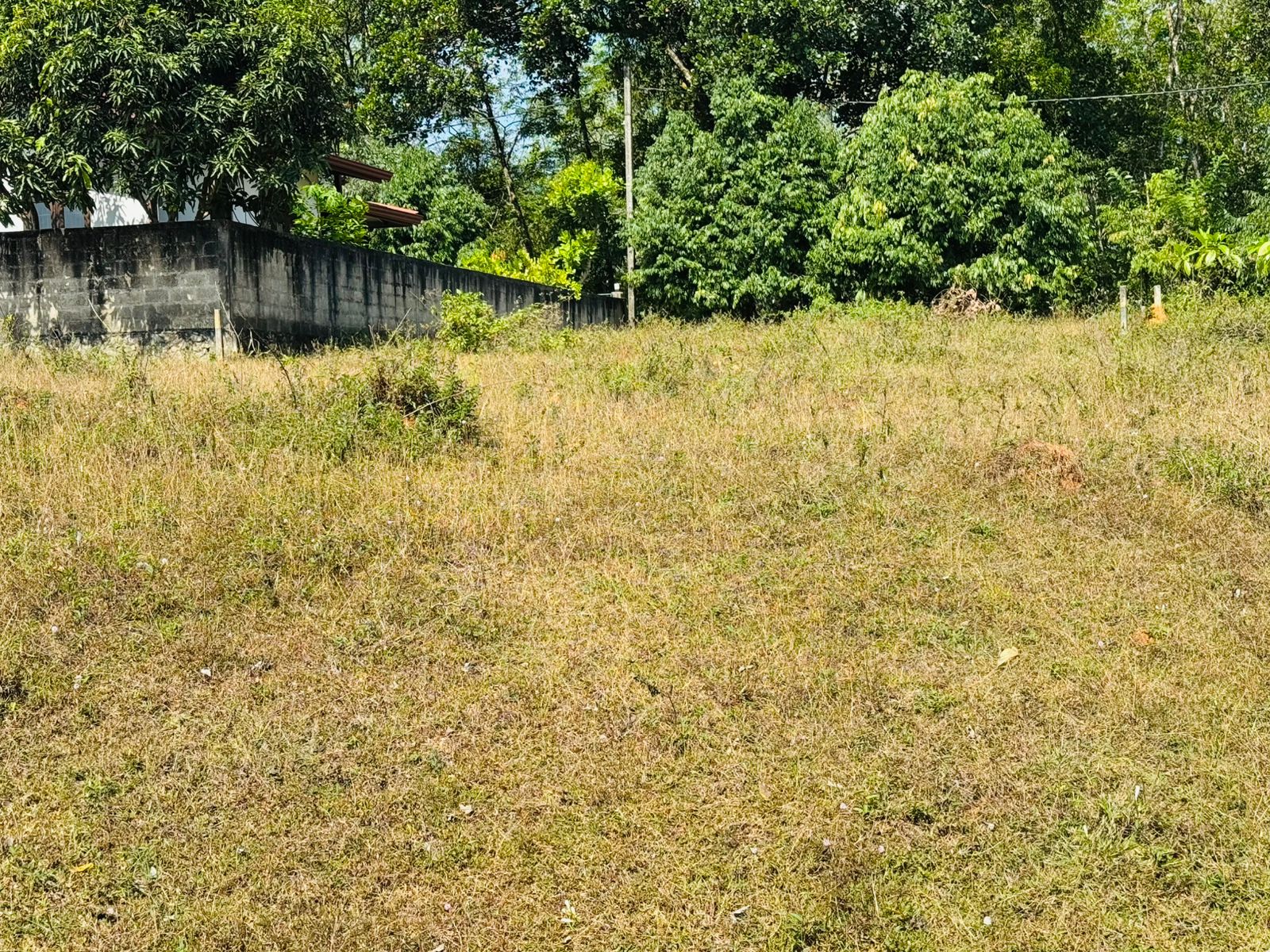 Land for Sale in Horana