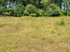 Land for Sale in Horana