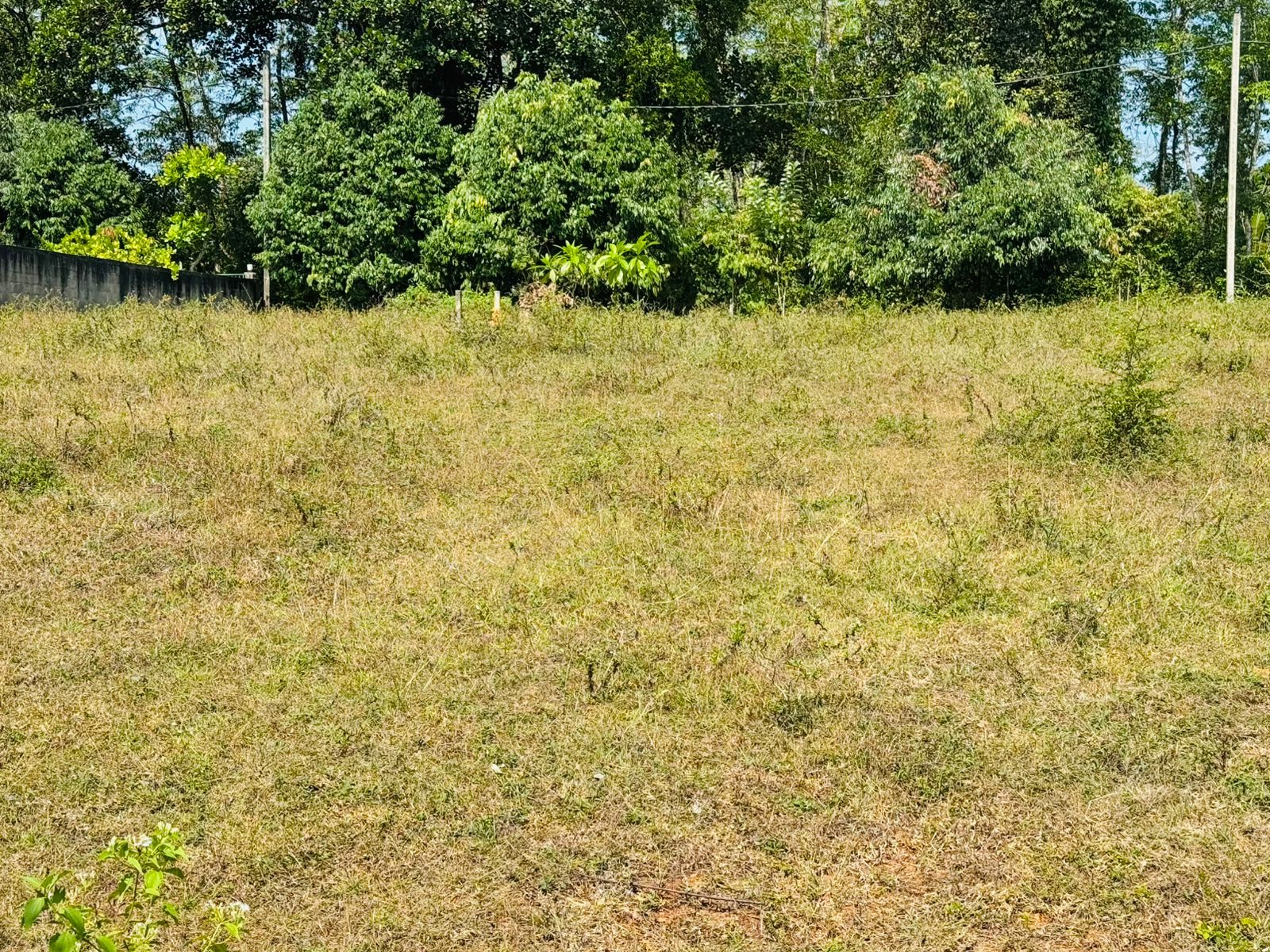 Land for Sale in Horana
