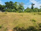 Land for Sale in Horana