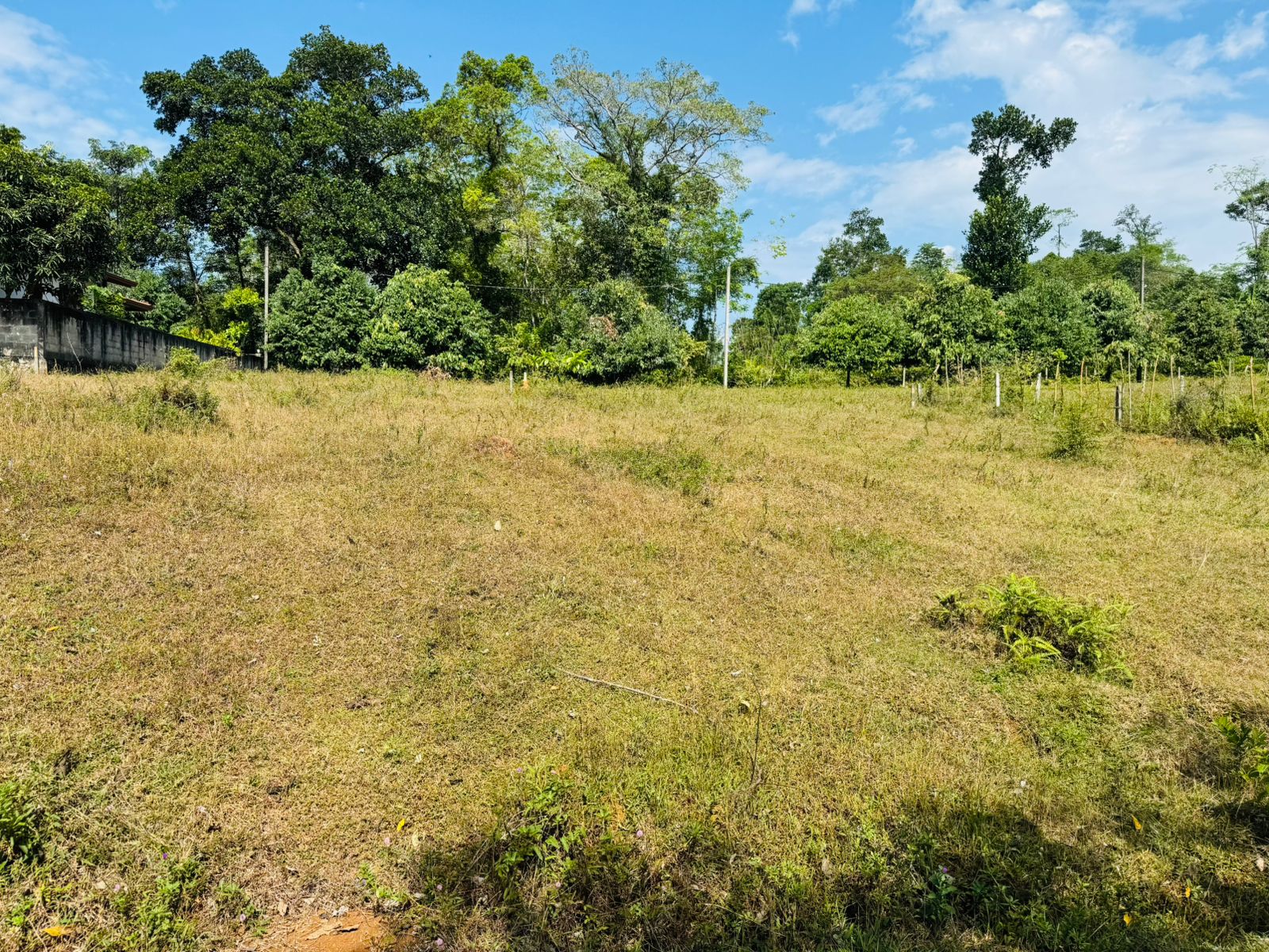 Land for Sale in Horana