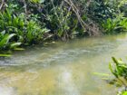 Land For Sale In  Horana