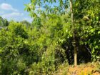 Land For Sale In  Horana