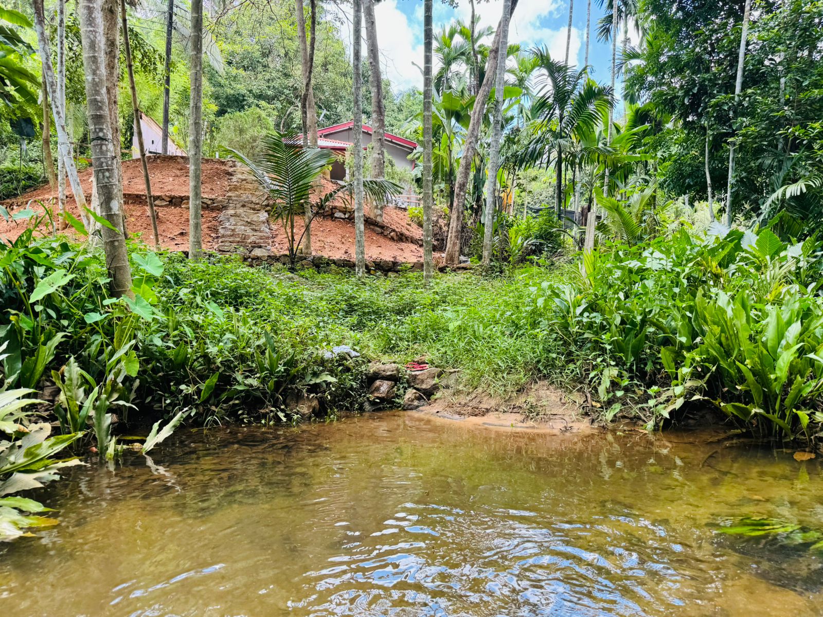 Land For Sale In  Horana